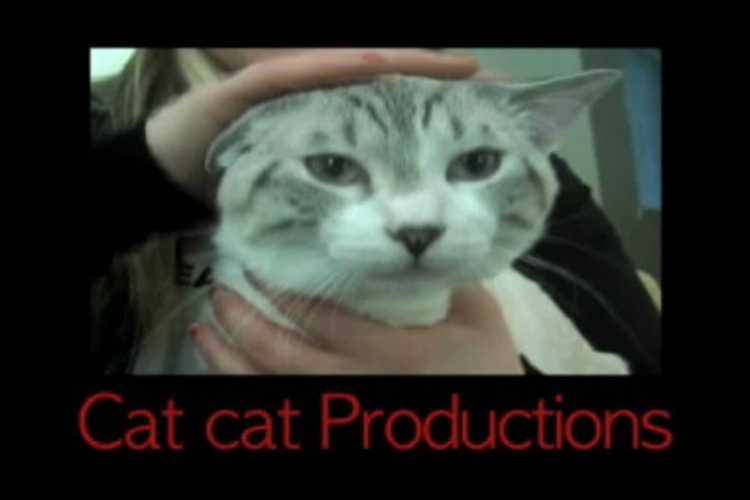 Cat cat Productions